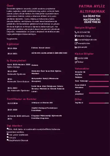 Matematik Öğretmeni Cv Örnekleri cv indir